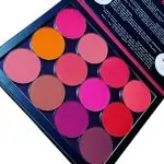 Vee Beauty Girls Night Out 2 Blush Pallet