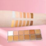 Who’s That Girl 12 Colour Concealer Palette